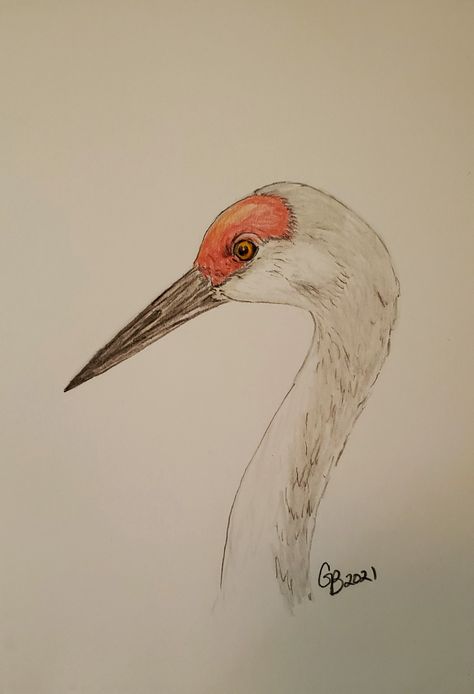 Sand Crane Painting, Crane Drawing, Watercolor Ocean, Cellphone Wallpaper Backgrounds, Drawing Templates, Book Art Diy, Watercolor Pencils, Color Pencil Drawing, Pencil Art