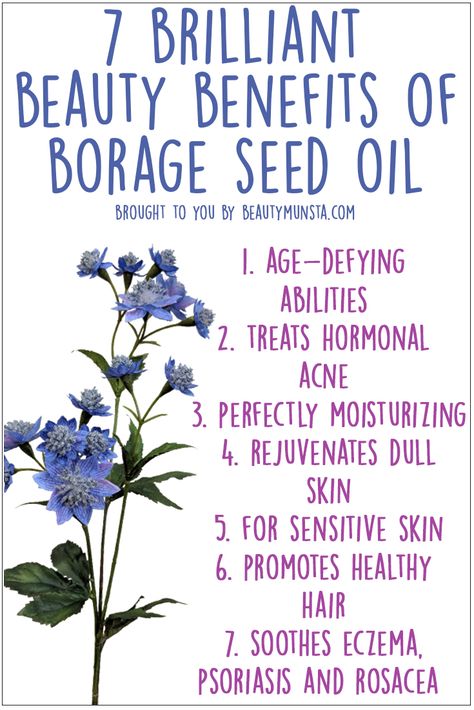 Did you know that borage (pronounced: bor-raj) seed oil is said to be one of the luxury oils in skin care products? It’s a wonderful oil that has a high level of essential fatty acids (EFAs). This makes it immensely beneficial for skin and hair! Borage Oil Diy, Borage Benefits, Borage Oil Benefits, Hyperpigmentation Remedies, Herbal Living, Star Plant, Natural Beauty Hacks, Carrier Oils For Skin, Hormonal Health