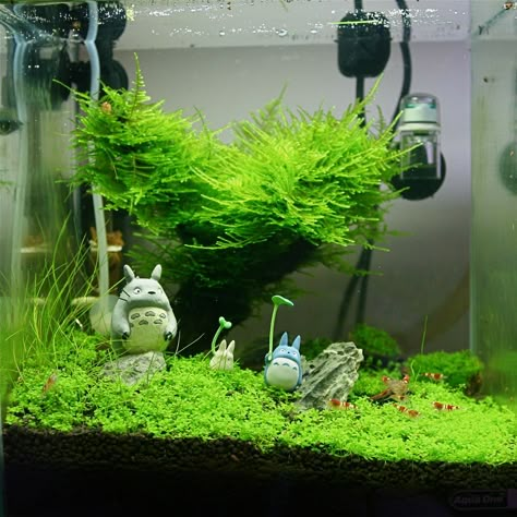 https://flic.kr/p/6u5qfR | My moss tree... | The totoro's was in there just for the photo. Avatar Themed Fish Tank, Totoro Fish Tank, Totoro Aquarium, Whimsical Fish Tank, Cute Fish Tank Ideas, Studio Ghibli Fish Tank, Ghibli Fish Tank, Cottagecore Fish Tank, Goth Fish Tank