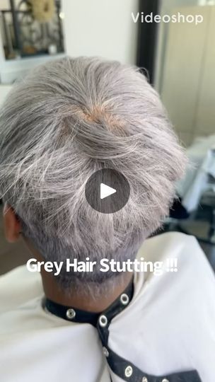 11K views · 1.2K reactions | THIS GREY HAIR IS GONNA BE THE TALK AT EVERY BRUNCH , LUNCH AND OUTING!!!
Grey hair with Pelement Products is only gonna do two things : Be beautiful and Be healthy:. Do you have have grey hair or grey hair clients or even Cool blonde clients.. ???? STAY COOL IS THE ANSWER!!! 
My client got a relaxer today ( which at times makes grey hair turn a yellow greenish color but here at Pelement Products we have the answer!!! And it want make hair purple.. STAY COOL .. Explore it today .. So Sexy was the foam used to mold her hair and if you haven’t tried it , you missing out .. You can order any products on Pelementproducts.com 
Keysha is also wearing the New Patric Antonio Yellow Moon Sunglasses. 🕶️. 
#pelement @patric_pelementproducts #greyhair #greyhairdontcare #g Grey Hair Turning Yellow, Moon Sunglasses, Grey Hair Don't Care, Yellow Moon, Cool Blonde, Make Hair, The Talk, Be Beautiful, Grey Hair