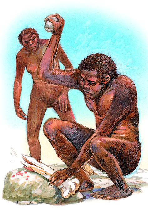 Stone Age - Q-files - Search • Read • Discover Stone Age Human, Stone Age Painting, Stone Age Illustration, Prehistoric Man Stone Age, Early Man Stone Age, Stone Age People, Caveman Paintings Stone Age, Stone Age Man, Prehistoric Man