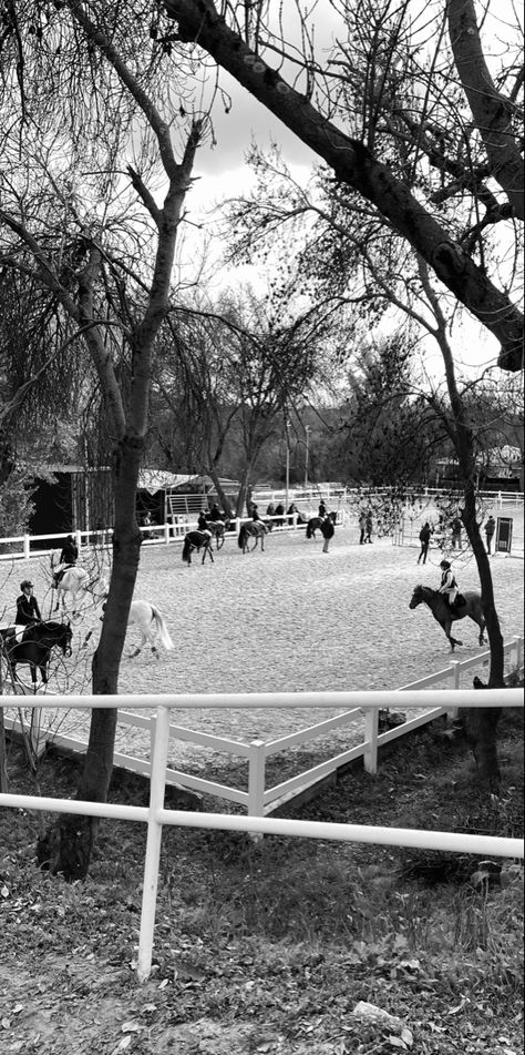 Showjumping competition in Madrid Spain. Old money. Aesthetic. Horses. Equestrian aesthetic. Horse Competition, Equestrian Aesthetic, Horses Equestrian, Horse Equestrian, Horse Show, Show Jumping, Iphone Background Wallpaper, Background Wallpaper, Iphone Background