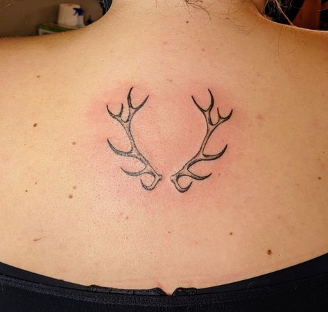 Tattoos, Elk, Antlers Elk Horns Tattoo, Elk Horn Tattoo Women, Elk Antlers Tattoo, Simple Elk Tattoo, Caribou Antler Tattoo, Small Elk Tattoo, Elk Antler Tattoo For Women, Antler Back Tattoo, Antler Knee Tattoo