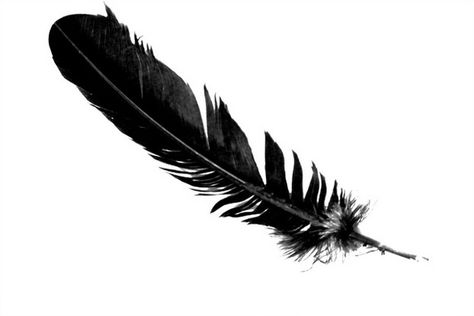 feather Tattoo Plume, Feather Tat, Tatuaje Cover Up, Rabe Tattoo, Crow Feather, Black Bird Tattoo, Raven Feather, Feather Drawing, Feather Tattoo