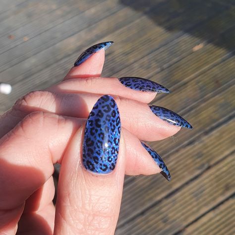 Blue Leopard Nails, Nails With Leopard Print, Panther Nails, Panthers Nails, Dark Blue Nails, Bio Sculpture, Leopard Nails, Blue Leopard, Blue Nails