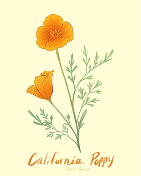 Featuring the California Poppy flower. Done in Procreate on the iPad Pro California Poppy Botanical Illustration, Orange Poppy Tattoo, California Poppy Drawing, California Poppy Tattoo, California Poppy Flower, California Poppy Art, Strawberry Cereal, Poppy Tattoo, Photography Tattoo