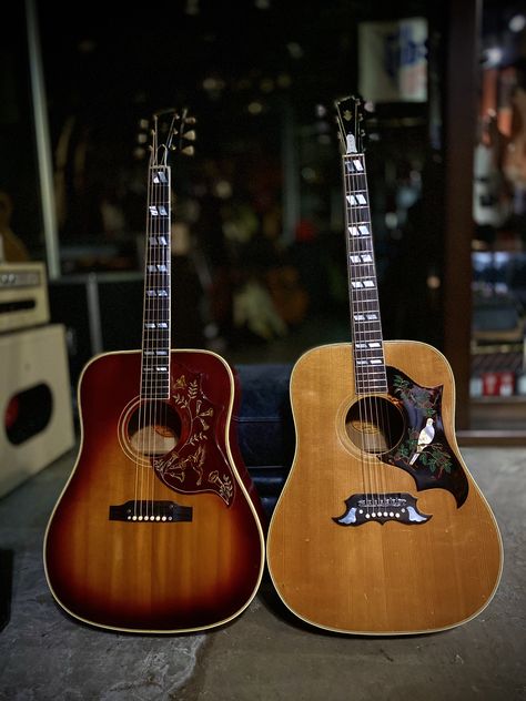 Gibson Hummingbird Guitar, Beautiful Guitars Acoustic, Gibson Dove, Vintage Guitars Acoustic, Gibson Hummingbird, Brothers Osborne, Taylor Guitars Acoustic, Acoustic Guitar Photography, Learn Guitar Chords