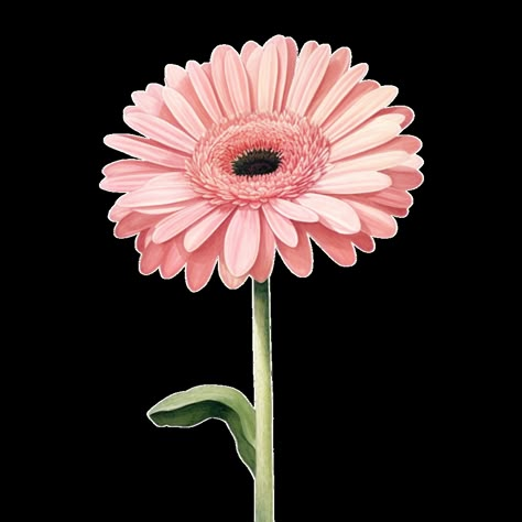 pink gerbera daisy flower Pink Gerbera Daisy, Gerbera Daisy Flower, Daisy Drawing, Cherry Blossom Wall Art, Pink Drawing, Gerbera Flower, Pink Gerbera, Easy Flower Painting, Daisy Tattoo