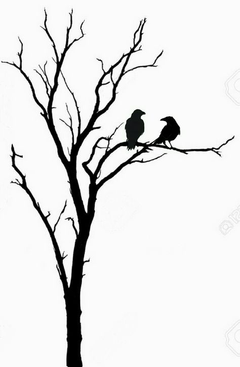 Simple Tree Silhouette, Bird In A Tree Drawing, Silhouette Of Trees, Tree Sihoullete, Tree Siloutte, Tree Shilloute, Black Tree Drawing, Silloettes Art, Birds On Tree Drawing