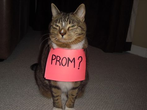 HAHAHAH, loves it <3 Prom Pictures Group, Asking To Prom, Prom Pictures Couples, Prom Goals, Creative Proposals, Prom Picture Poses, Prom Couples, Henna Party, Hoco Proposals