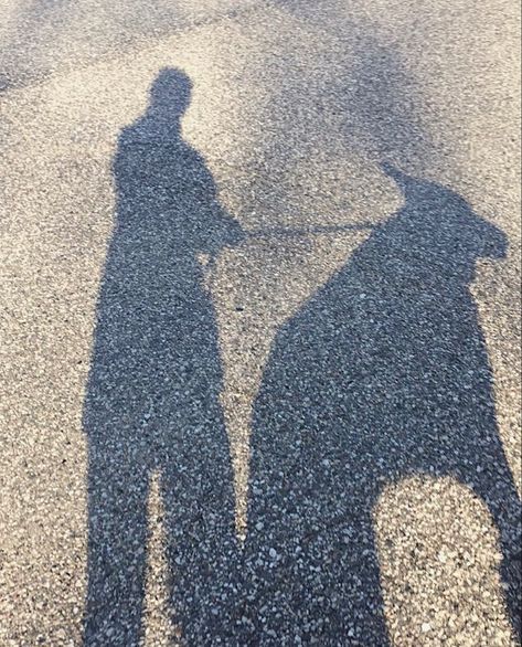 Walk with G #dog #germanshepherd #shadow March 20, German Shepherd, Dogs, On Instagram, Instagram