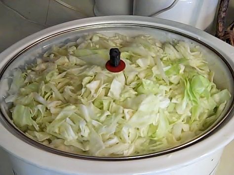 Crock Pot Haluski, Haluski Crockpot, Crockpot Haluski, Haluski Recipe Crockpot, Haluski Recipe, Ham And Cabbage, Food Receipt, Instant Recipes, Cabbage Recipes