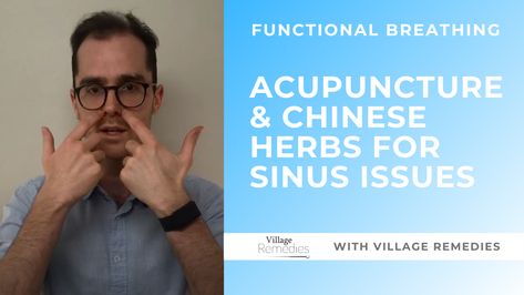 How Can Acupuncture & Chinese Medicine Help Sinus Congestion? If you struggle with a chronically blocked nose or sinus congestion, it can be next to impossible to get started with other breathing exercises. So our first step must be to help open up your nasal passages, as long term mouth breathing is not only inefficient, but can cause a range of health issues. Mouth Breathing, Blocked Nose, Sinus Congestion, Nasal Passages, Chinese Herbs, Breathing Exercises, Chinese Medicine, Acupuncture, Health Issues