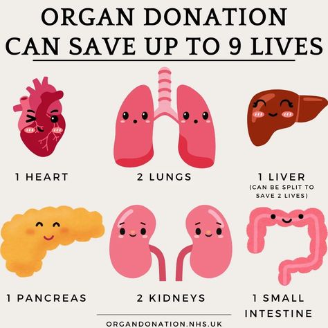 (Corrected from my previous post!) "ORGAN DONATION CAN SAVE UP TO 9 LIVES!" The liver can be SPLIT and donated to 2 separate people!! ♡ ♡ ♡ A little infographic to make it easier to understand just how many people can benefit from a "yes" to organ and/or tissue donation. ❤️Feel free to share with friends and family For more information about how to sign up to the Organ Donor Register, visit www.organdonation.nhs.uk ♡ ♡ ♡ ♡ ♡ ♡ @nhsorgandonor #organdonation #organdonationawareness #liv... Organ Donation Awareness, 9 Lives, Organ Donor, Organ Donation, Blood Donation, The Liver, Chronic Illness, Many People, Friends And Family