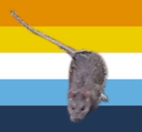 Rat Pfp, Flag, Rainbow