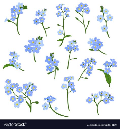 Blue Star Flower Drawing, Scorpion Grasses Tattoo, Pottery Painting Forget Me Not, Forget Me Not Botanical Illustration, Forget Me Not Doodle, Forget Me Nots Drawing, Forget Me Not Flowers Drawing Simple, Forget Me Not Drawing Simple, Forget Me Not Nails