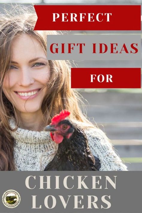 The best gifts for chicken lovers – perfect for birthday or Christmas gifts! Our favorite brooder, chicken toys and more. Chicken theme clothing, tshirts, socks and chicken mugs and lots more gifts for crazy chicken lady and me! #chickenlovergiftideas #ilovechickens #chickenlady #chickentshirts Gifts For Chicken Lovers, Chickens Breeds, Feeding Chickens, Country Homestead, Chickens For Beginners, Gift Ideas For Anyone, Chicken Toys, How To Raise Chickens, Chicken Lover Gifts