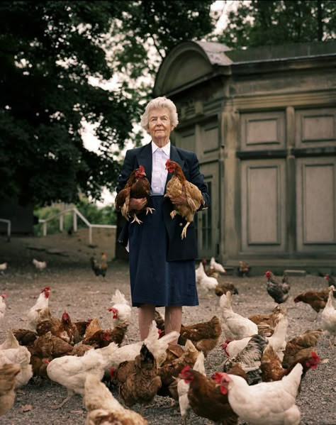 Dowager Duchess of Devonshire photographed by Harry Borden. Gardenista. Duchess Of Devonshire, The Duchess Of Devonshire, Mitford Sisters, Duke Of Devonshire, Chatsworth House, Diana Vreeland, Portrait Gallery, Wait For Me, Chickens Backyard