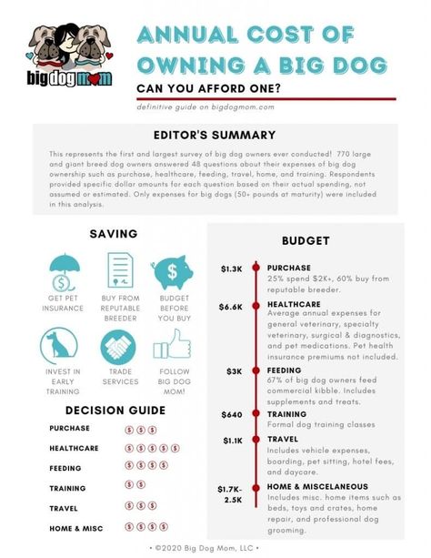 Can you afford a large dog? Here are the results of the largest survey of large dog owners ever conducted. This landmark research defines the true annual cost of owning a dog (large or giant breed dog) including how much large breed puppies cost, the cost of dog healthcare, a dog budget for miscellaneous items, how to plan financially for the responsibility of big dog ownership, and much more!  Get ready to be surprised by the results of this groundbreaking landmark research!    BigDogMom.com Dog Budget, Tiny Dog Breeds, Canaan Dog, Owning A Dog, Dog Breed Names, Working Dogs Breeds, Puppy Socialization, Dog Grooming Shop, Dog Training Treats