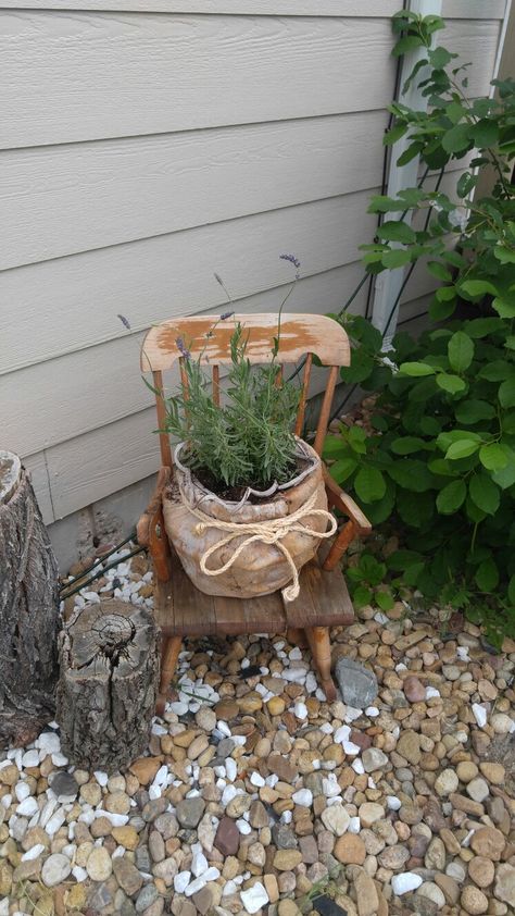 Rocking Chair Planter, Rocking Chair Bird Feeder, Upcyled Rocking Chair, Cottagecore Rocking Chair, Primitive Rocking Chair, Garden Rocking Chair, Old Rocking Chairs, Easiest Flowers To Grow, Lawn Ideas