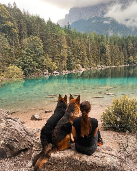 Hiking Picture Ideas, Dog Photoshoot Pet Photography, German Shepherd Photos, Hiking Pictures, Hiking Dogs, Most Popular Dog Breeds, Adventure Aesthetic, Dog Adventure, Popular Dog Breeds