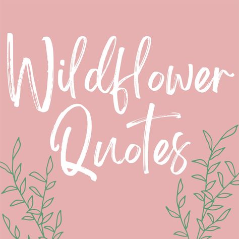 These wildflower quotes are pack full of beauty, inspiration, and captivating ideas of what it means to live like a wildflower and be free. Wild Flowers Meaning, How To Be A Wildflower, Be Like A Flower Quote, Wildflower Sayings Words, Inspiring Flower Quotes, See The Beauty Quotes, Wild Flower Poem, Live Simply Bloom Wildly, Desert Flower Quotes