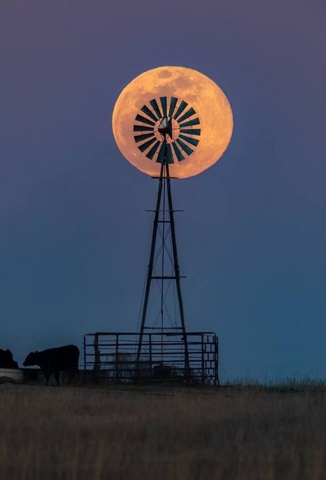 Untitled Windmill Images, Windmills Photography, Hanger House, Frit Painting, Farm Windmill, Windmill Art, Wind Mills, Old Windmills, Outdoor Pictures