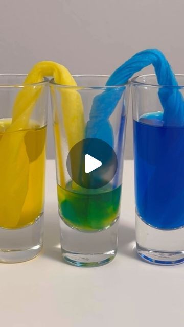 Ziploc Bag Science Experiment, Imagination Week Preschool, Paper Towel Color Experiment, Capillary Action Experiment, Moving Activities For Preschoolers, Marble Activities For Preschool, Biology Experiments For Kids, Water Science Experiments For Kids, Steam Experiments For Kids