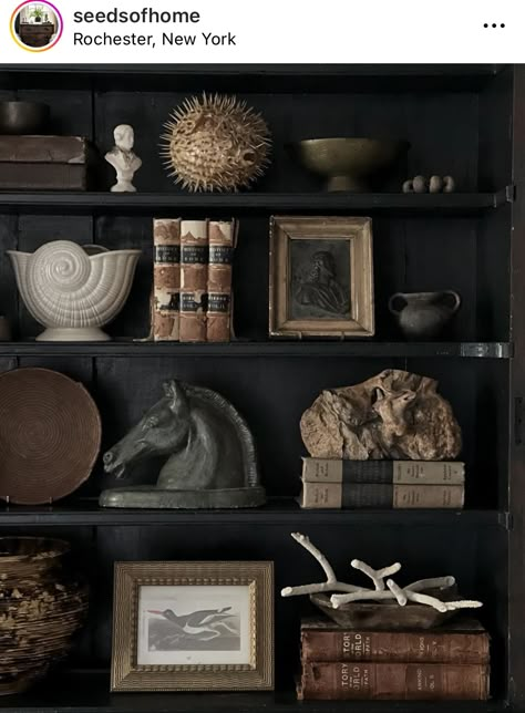 Dark Home Aesthetic, Shelf Styling Ideas, Book Shelf Decor, Cottagecore Living, Bookcase Decor, Bookshelf Styling, Bathroom Design Inspiration, Modern Vintage Home, Living Room Remodel