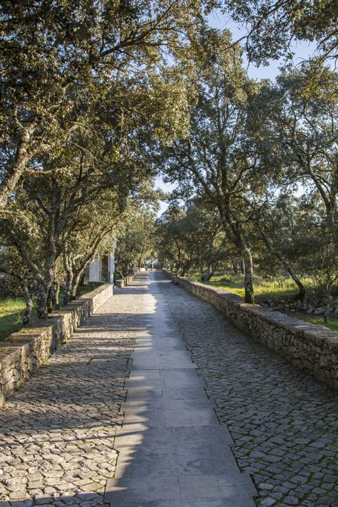 Cobblestone Road, Fatima Portugal, Australia Landscape, Courtyard Wedding, Stone Road, Brick In The Wall, City Design, Photo Editing Software, Reference Images