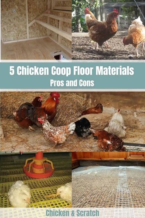 5 Chicken Coop Floor Materials: The Pros & Cons Chicken Coop Floor, Chicken Coop Bedding, Chicken Coop Pallets, Mobile Chicken Coop, Chicken Roost, Chicken Poop, Chicken Pen, Chicken Coup, Chicken Coop Run