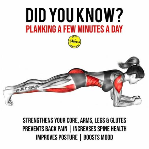 Calories Counter on Instagram: “PLANK BENEFITS‼️ Did you know this?😅 . Follow 👉 @calories.zero . . Tag a friend below so they can see this.⤵️ . . By 📸 @maxsbestbootcamp…” Plank Benefits, Yoga Beginners, Spine Health, Plank Workout, Crossfit Games, Fitness Gear, Mood Boost, Chronic Condition, Effective Workouts