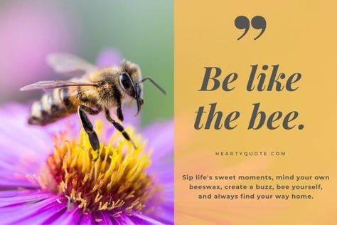 Bee Captions, Queen Bee Quotes, Beautiful Flower Quotes, Bee Quotes, Working Bee, King Bee, Bee And Flower, Bee Book, Skull Wallpaper