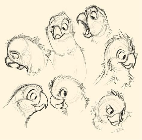 Cartoon Bird Drawing, Character Drawings, Bird Sketch, Bird Drawing, Cartoon Birds, Cartoon Sketches, Character Design Animation, Animal Sketches, Arte Animal