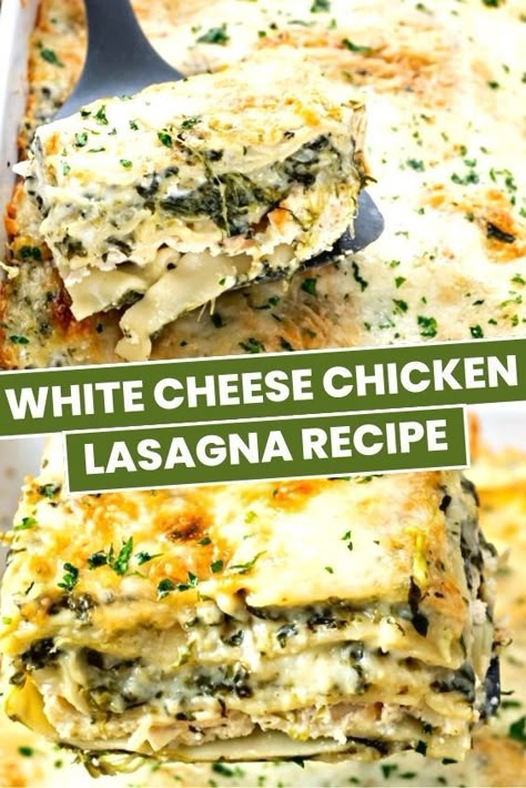 Lasagna Recipe Chicken, Lasagna With White Sauce, White Lasagna Recipe, White Sauce Lasagna, Cheese Lasagna Recipe, White Chicken Lasagna, Chicken Lasagna Recipe, White Lasagna, Meat Lasagna