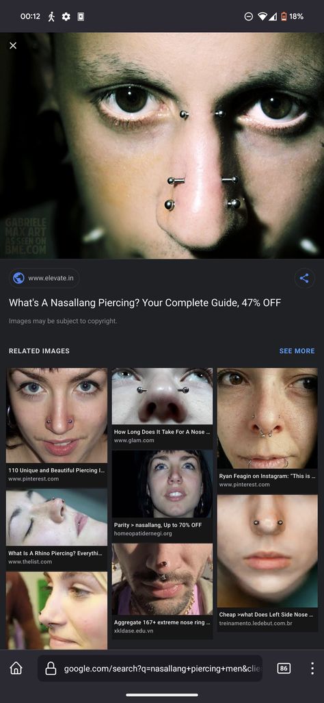 Nasallang Piercing, Piercings, Pins