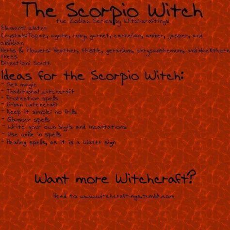 Scorpio witch Scorpio Witch, Irish Gods, Glamour Spell, Magickal Correspondences, The Scorpio, Which Witch, Traditional Witchcraft, Magic System, Wicca Witchcraft