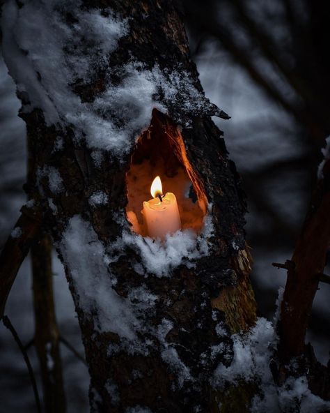 Yule Dark Aesthetic, Winter Vampire Aesthetic, Magic Woods Aesthetic, Dark Forest Witch Aesthetic, Christmas Magic Aesthetic, Gothic Winter Aesthetic, Moody Christmas Photography, Dark Woods Aesthetic, Dark Snow Aesthetic