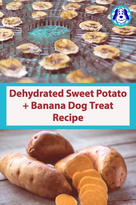 How to make dehydrated sweet potato dog treats and dehydrated banana dog treats Dehydrated Banana Chips For Dogs, Dehydrating Sweet Potatoes For Dogs, Dog Treat Recipes Pumpkin, Dehydrated Sweet Potato Dog Treats, Dehydrator Dog Treats, Bananas For Dogs, Dehydrated Dog Treats, Healthy Dog Biscuits, Banana Dog Treat Recipe