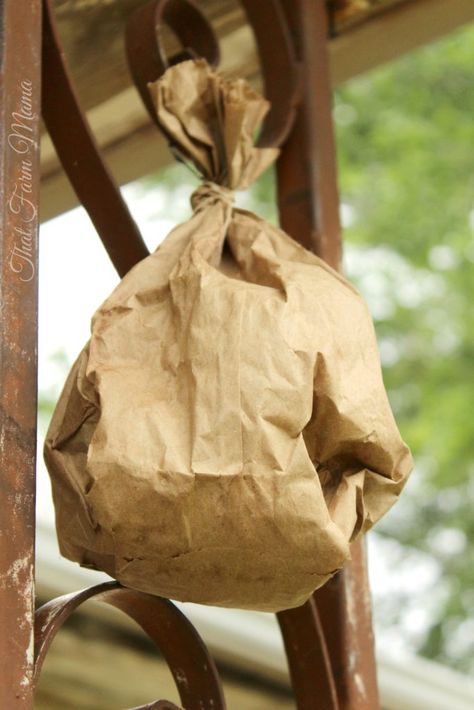 Paper Wasp Nest, Fake Wasp Nest, Wasp Deterrent, Getting Rid Of Bees, Wasp Repellent, How To Make A Paper Bag, Paper Sack, Hornets Nest, Wasp Nest