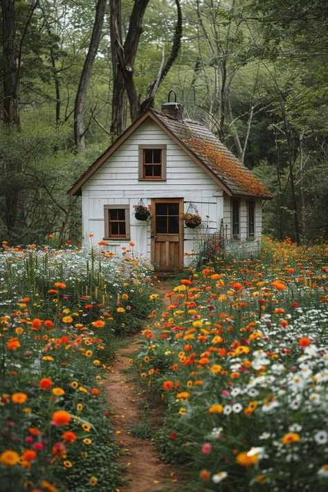 White Cottage In The Woods, Cottage In Meadow, Cottage Reference Photo, Cottage In Field, Cozy House Exterior Small Cottages, Cottage Core Home Exterior, Small House In Woods, English Cottage Backyard, Small Cozy House Exterior