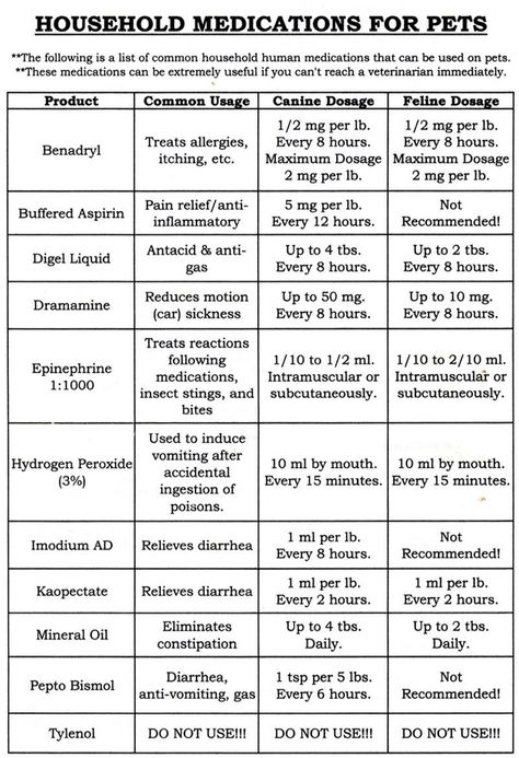 Meds for Pups Liver Water For Puppies, How To Make Dog Fur Soft, Cat Friendly Otc Medications, Medicine Safe For Dogs, Meds For Dogs, Pet Meds, Dog Remedies, Medication For Dogs, Dog Tips