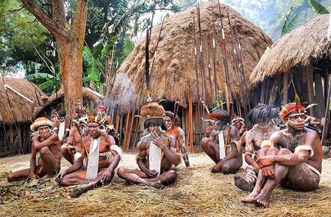 Native people in Papua Honai Papua, West Papua, Papua New Guinea, Indonesia, Quick Saves