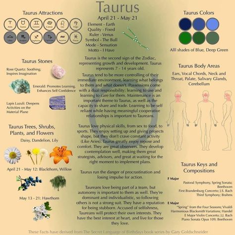 The Taurus Witch, Virgo Qualities, Taurus Planet, Taurus Ascendant, Taurus Element, Taurus Symbols, Zodiac Calendar, Cute Animal Quotes, Astrology Planets