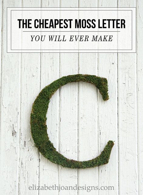 The Cheapest Moss Letter You Will Ever Make Moss Letters On Wall, Moss Covered Letters, Diy Monogram Letters, Moss Growing, Moss Letters, Shelf Nursery, Pallet Flag, Faux Moss, Diy Monogram