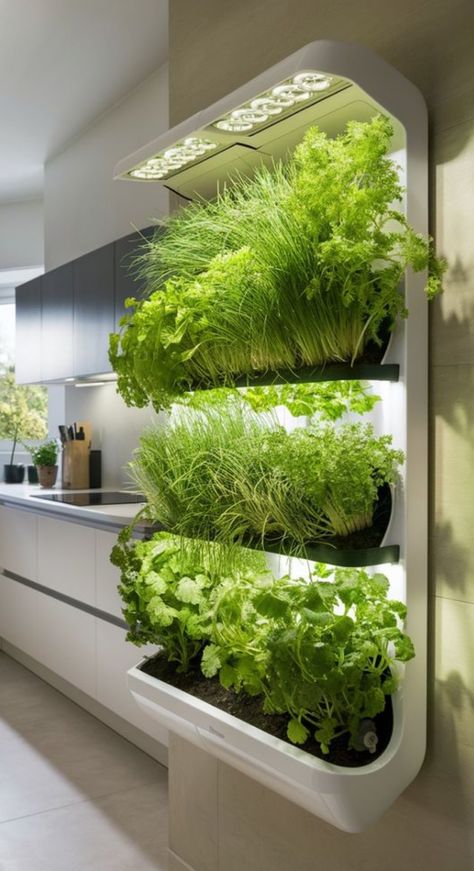 Inside Gardening Ideas, Vertical Garden Kitchen, Grow Light Garden, Indoor Garden Herbs, Smart Garden Technology, Outdoor Hydroponic Garden, Kitchen Garden Ideas Growing Vegetables, Interior Wall Garden, Indoor Garden Architecture