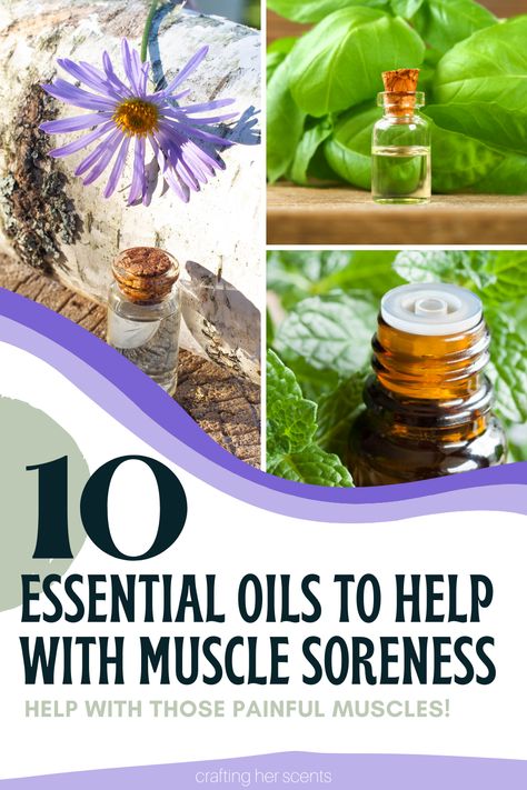 Essential Oils Muscle Relaxer, Essential Oils Muscle Pain, Muscle Relief Essential Oil, Essential Oils Sore Muscles, Sore Muscle Relief, Essential Oils For Pain, Doterra Essential Oils Recipes, Essential Oils For Massage, Essential Oils Guide