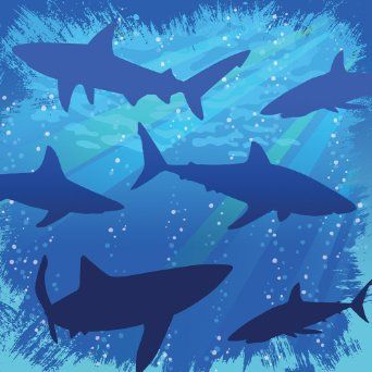 Creative Converting Shark Splash Birthday Beverage Napkins, Shark party Shark Silhouette, Splash Party, Ocean Backgrounds, Shark Birthday Party, Ocean Party, Shark Party, Blue Shark, Halloween Costume Shop, Shark Birthday