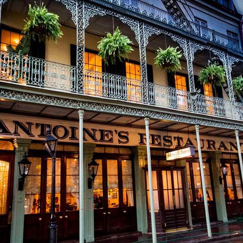 35 Iconic French Quarter Dining Experiences French Quarter Restaurants, New Orleans Bars, New Orleans Vacation, French Creole, Classic Restaurant, Architecture Restaurant, New Orleans French Quarter, Old Bar, New Orleans Mardi Gras