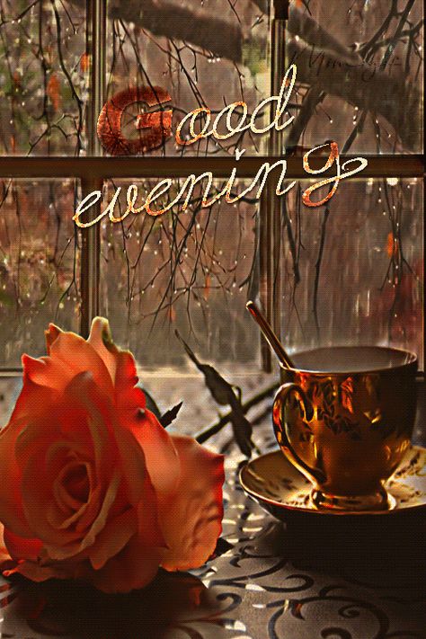 Good Evening Gif, Evening Gif, Good Morning Rain, Rainy Good Morning, Good Morning Gift, Good Morning Posters, Good Evening Wishes, Lovely Good Morning Images, Good Evening Greetings